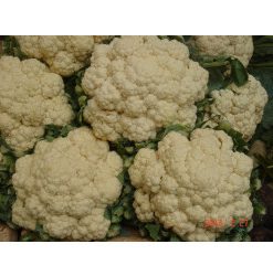 Bông cải trắng - Nông Sản VietCan - Công Ty TNHH Liên Doanh Kiến Quốc VietCan